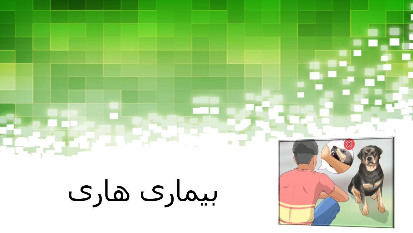 پاورپوینت درباره بیماری هاری