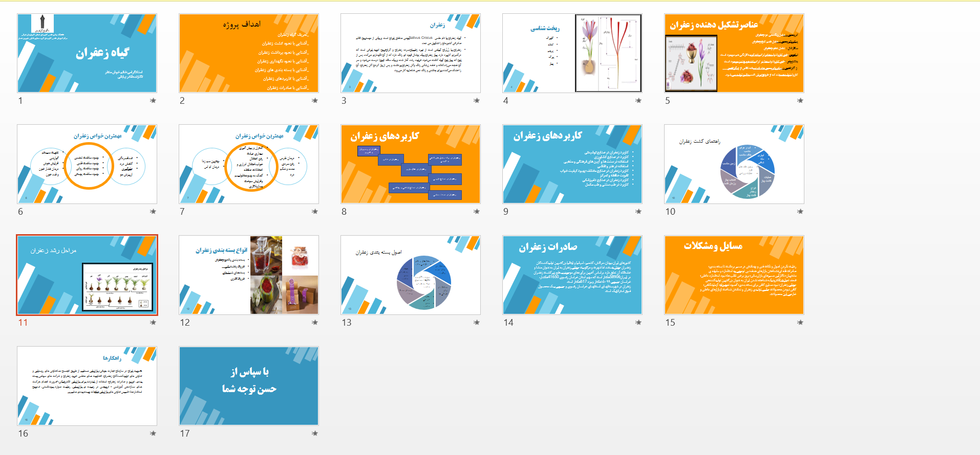 پاورپوینت درباره گیاه زعفران